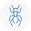 Ant Removals In Barbican
