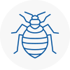 Bed Bug Extermination In Barbican