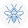 Barbican Hornet Nest Removals