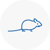 Mice Exterminators In Barbican