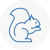 Barbican Rodent Removals