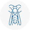 Barbican Wasp Nest Removal